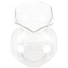 Zerodeko Paralume in Vetro Trasparente Diametro 3 CM per Lampada a Olio, Sostituzione del Coperchio per Lampada a Cherosene, Accessorio per Lampade a Olio Vintage da Interno ed Esterno