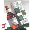 SANGALLI SRL EQUISETO FRONDE STE TINTURA MADRE 100 ML