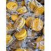 Generico Biscotti Farciti Crema Limone Monoporzione - Snack Dolci Confezionati Singolarmente Disponibili in Formato 850g e 1.7Kg Ideali per Casa Ufficio e Bar (1.7Kg)
