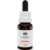 Australian Bush Flower Essences Philotheca Essenza Singola Equilibrio Emotivo 15ml