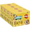 PEDIGREE DOGCARE - Cibo per cani Vitality+ Chunks in salsa per adulti, 4 x 12 x 85 g