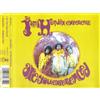Jimi Hendrix JIMI HENDRIX EXPERIENCE-ARE YOU EXPERIENCED -CDS- (CD)