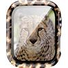 Yrzper Compatibile con Apple Watch SE Series 6, 5, 4, 3, 2, 1, 40 mm, 44 mm, 42 mm, 38 mm, custodia rigida in PC in vetro temperato, resistente agli urti (Leopard1, 38 mm)