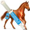 EMMA Equi P Booster Pasta vitaminica più MSM Glucosamina Condroitina ad alto dosaggio Horse - Vitamina C Lievito di birra Sistema muscoloscheletrico Articolazioni Tendini Legamenti Cartilagine Anziani 1pc