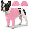 CITÉTOILE Tuta di Recupero Cane Mezzo Corpo, Rabbocco Postoperatorio Anteriore, Maglia Medica Antilamido per Ferite e Suture, Protezione Gomito e Ginocchio, Alternativa al Collare Elisabettiano