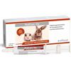 Alfavet RodiCare Dia (3x12 ml) - Supporto nutrizionale per l'equilibrio intestinale di conigli e porcellini d'India - con butirrato di sodio e fibre vegetali, senza zucchero