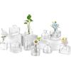 Glasseam Piccoli Vasi per Fiori da Centrotavola: Set di 10 Mini Vasi in Vetro Graziosi Vasi Trasparenti per Decorazioni da Tavola per Matrimoni Feste e Cene