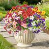 YMIFEEY 8 fasci di piante artificiali da balcone come vera pianta artificiale per esterni, resistente alle intemperie, balcone, fiori finti, fiori di seta per esterni, terrazze, fioriere davanzale