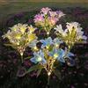JHzood Outdoor Solar Garden Lights, LED Solar Lights with Lily Flower Bloom Design, Waterproof for Courtyard Decoration, Garden Patio and Pathway, Christmas and Birthday Gifts. (Pink+White)