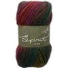 Sirdar Hayfield Spirito Chunky, Autunno (415), 100g di Sirdar