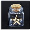 DLM Bomboniere DLM27801 (Kit 12 Pezzi) Barattolo in Vetro Icona in Legno Stella Marina Mare Porta Confetti bomboniera Regalo