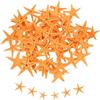 QUARKZMAN 60Pcs Stelle Marine per, 0.4-0.8 Piccole Stelle Marine Naturali Conchiglie all'Ingrosso PerFai da Te per Matrimoni Feste A Tema Spiaggia, Arancione