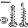 FandWay 100 Pezzi Viti Torx Autofilettanti in Metallo, M4.2x19mm Viti per Lamiera Autofilettanti e Autoperforanti Inox 410 Torx a Testa Bombata Tonda per Alluminio Legno Lamiera Plastica. Con 1 TX20.
