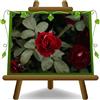 EURO PLANTS VIVAI Rosa Coprisuolo Meilland La Sevillana - Piante Rose - su vaso da 18 cm