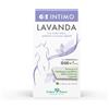 Gse Intimo Lavanda 2 Flaconi da 100 ml
