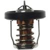AYZLGAA for Motori fuoribordo Suzuki Marine Df8a 9.9 15 20 25 30a 17670-94j00 17670-94j02-000 17670-94j01-00017670-94j01 Termostato 60 °