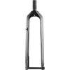Generico Forcella Anteriore MTB Full Carbon 3K, Perno Passante 15 * 100mm, Finitura Opaca e Lucida for Mountain Bike XC(29size Glossy)