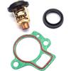 AYZLGAA for Yamaha 4-Stroke 2.5hp 4hp 8hp 15hp 30hp 40hp 50hp 60hp 70hp 80hp 6g8-12411 Thermostat 60°c 66m-12411-00-00 66m-12411-01-00
