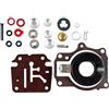 DBWOZER per Johnson per Evinrude Carb Kit di ricostruzione carburatore 20 25 28 30 40 45 48 396701