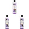 LUX Bagnodoccia Botanicals, Fig & Geranium Oil, Bagnoschiuma Uomo e Donna, con Olio di Geranio, Fragranza Estiva Floreale e Fruttata, con Oli Botanici, 94% Ingredienti Naturali, 490ml