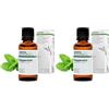 Aroma Labs BIO - Olio essenziale MENTA PIPERITA - 30mL - 100% Puro, Naturale, Chemiotipizzato e Certificato AB - AROMA LABS (Marchio Francese) (Confezione da 2)