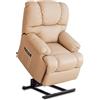 Astan Hogar Poltrona Relax con Funzione Auto-Aiuto (Levanta Persone), Reclinazione Elettrica, Massaggio E Termoterapia, Modello Automatico Lift Up AH-AR10100TP