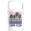 Cape Cod Beach Massachusetts Surfing Sur Custodia per iPhone 17 Pro Capo Cod