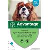Advantage Vantaggio 100 (Cani 4-10 kg) - 4 Pipette da 1 ml