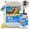 EMMA Olio di zoccolo per cavalli con pennello + tanica, 500 ml, 2,5 l, balsamo per zoccoli, cavalli, per la cura degli zoccoli e del fascio, contro gli zoccoli secchi, il cavallo di zuffo unguento cavalli
