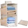 Zyluniy Organizer Armadio da Appendere Pieghevole, Portatutto con 2 Scomparti e 6 Tasche a Rete, Portattuto da Appendere per Camera da Letto, per Maglioni, Cappelli, Calzini