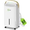 FILINK Deumidificatore 16L/Giorno, Deumidificatore Casa Muffa fino a 110 m³ (45 m²), Timer 24H e Autospegnimento, Tanica da 2,5L, Ecologico R290, deumidificatore Portatile per Bagno, Camera da Letto, Cantina