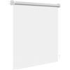 WOLTU Tenda a Rullo Oscurante da Forare, Tenda Avvolgibile Interni con Montaggio a Vite, Protezione Solare per Finestre e Porte, 160x160 cm [Larghezza Tessuto: 156 cm], Bianco