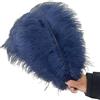 TSWNG 5 piume di struzzo, blu navy, piume decorative per fai da te, piume naturali, grandi, per Natale, matrimoni, feste, carnevale, casa, decorazione da tavolo, fai da te (30-35 cm)