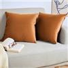 Blumtal Set di 2 Federe Cuscini Divano 40x60 cm in Velluto, con Chiusura Lampo Invisibile, Eleganti Copricuscini Divano in Morbido Velluto,Taglia 40 x 60, Arancione