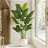 ZEEOZE Pianta Artificiale Uccello del Paradiso 230cm Alta Finta Palma Tropicale Per Interno Esterno con 18 Foglie Banano Albero Finto da Interno con Aaso Bianco Per Letto Giardino Ufficio Decorazione