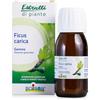 Boiron Estratti di Piante Ficus Carica - Macerato Glicerinato di Gemme 60 ml