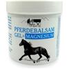 DEMERGY® Crema con Magnesio per Sollievo dai Fastidi Muscolari e Articolari - Balsamo Cavalli per Alleviare il Mal di Schiena - Arricchito con Oli Essenziali Naturali, per Massaggi Terapeutici