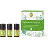 PRIMAVERA Set di oli essenziali profumati per la medicina domestica, confezione regalo, 3 x 5 ml, lavanda fine, tea tree, menta piperita, olio aromatico, aromaterapia, regali - vegano