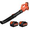 Bravolu Soffiatore a Batteria, Bravolu 21V Soffiatore Foglie Elettrico, con Batteria da 2 X 4,0Ah e Caricabatteria, Velocità Aria Max Regolabile 240 km/h, 20000 RPM con 6Velocità Regolabili, Ugelli a 2Sezioni