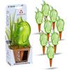 Scheurich 'Dispenser acqua boerdy colore verde, misura 20 cm, Capacità 220 ML per fino a 4 giorni di irrigazione delle piante