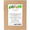 Magic Garden Seeds Alberi da frutto selvatici - set di semi con 3 ricche varietà di frutta selvatica