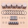 SAANICH 5 Set 47mm Pistone Pin Anello Anello di sicurezza Cuscinetto ad aghi Kit Fit For Stihl MS361 MS 361 Motosega 1135 030 2000