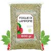 EPEL Foglie di Lampone 600 gr - Tisana Foglie di Lampone - Tè alle Foglie di Lampone - Tisana Foglie di Lampone Gravidanza - Infusi Sfusi - Proprietà Naturali - Infusi d'Erbe (600 gr)