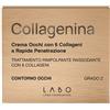 LABO INTERNATIONAL SRL Collagenina Crema Contorno Occhi Grado 2