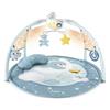 Chicco gioco fd enjoy colors playgym blue