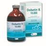 ECUPHAR Dobetin B1*iniet fl 100ml