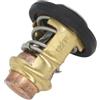 AYZLGAA for N-i-s-s-a-n Tohatsu 2-40 HP Outboard Engine Cooling System Thermostat Kit 122℉ 50℃ 345-01030-1 350-01030-1 3h6-01030 345-01030