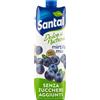 Santal Dolce Natura Mirtillo Senza Zuccheri Aggiunti 1L x12 Brick - Succo