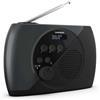 Thomson RT350 Radio portatile Dab e FM (RT350DAB)