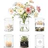 Rliocvhe 6 Pezzi Vaso Vetro Trasparente per Fiori,8 x 6.5 cm Cilindro Vaso di Fiori in Vetro Trasparente,Centrotavola Cilindrico in Vetro Decorativo,Vasi per Porta Candela, Fiori, Conchiglie, Perline